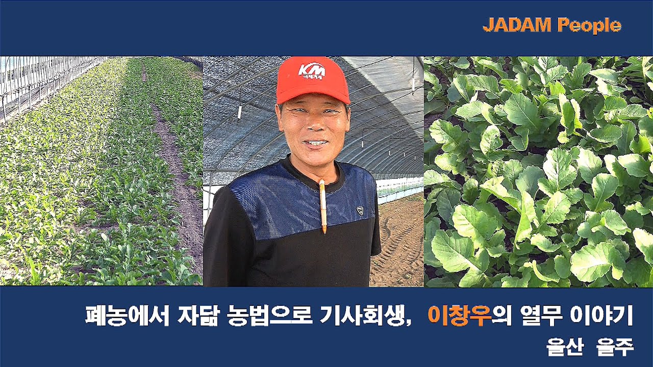 폐농에서 자닮 방제법으로 기사회생, 이창우의 열무 이야기 /He was able to save the farm with JADAM farming methods.