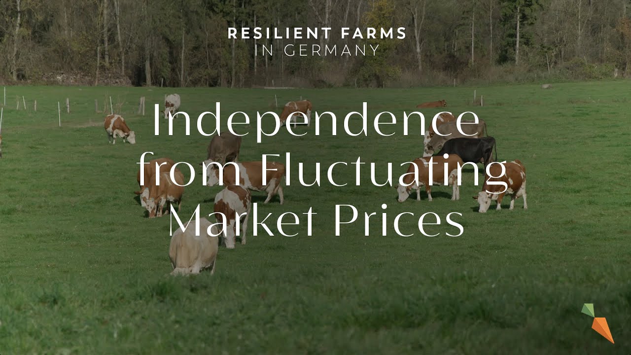 A Self-Sufficient Hay Milk Farm | Resilient Farms in Germany