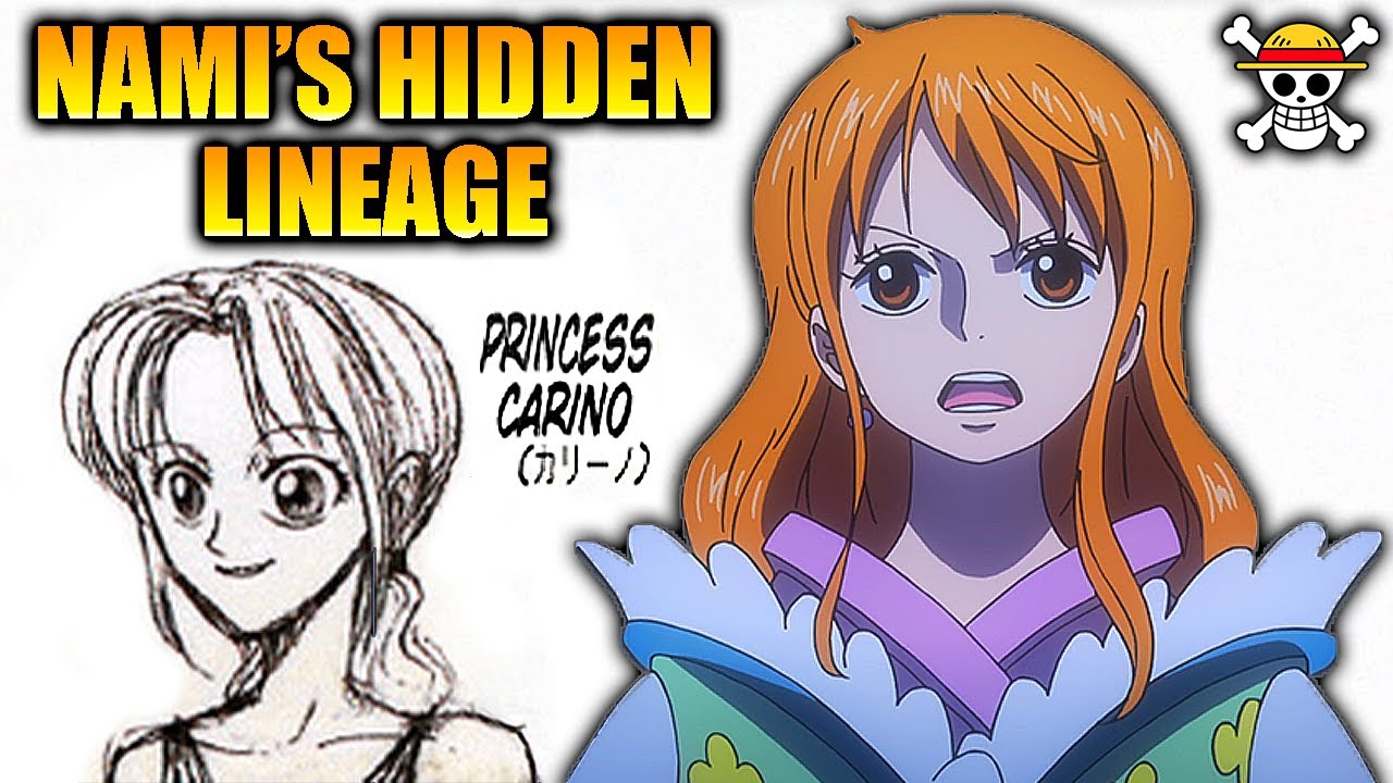 Could Nami Actually Be A Celestial Dragon?!