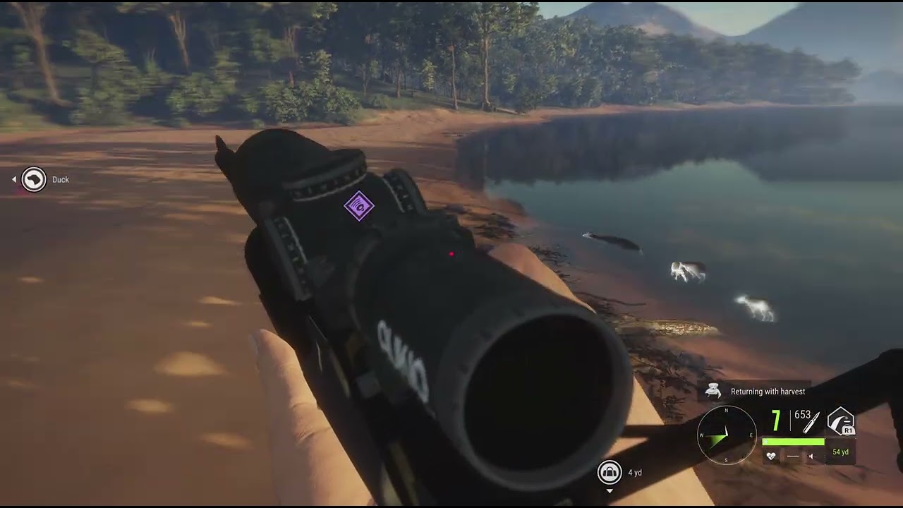 Hunting capybars cinnamon teal and camion