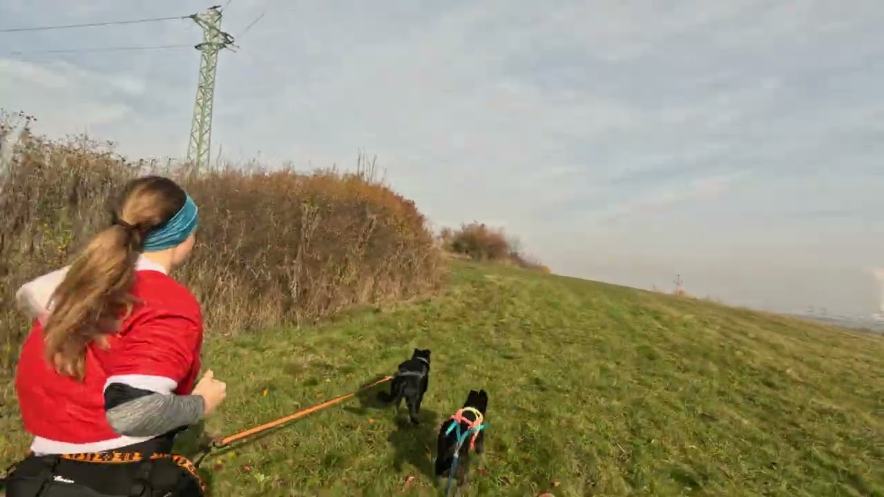 Canicross Kadaňsko - Halloweenský výběh