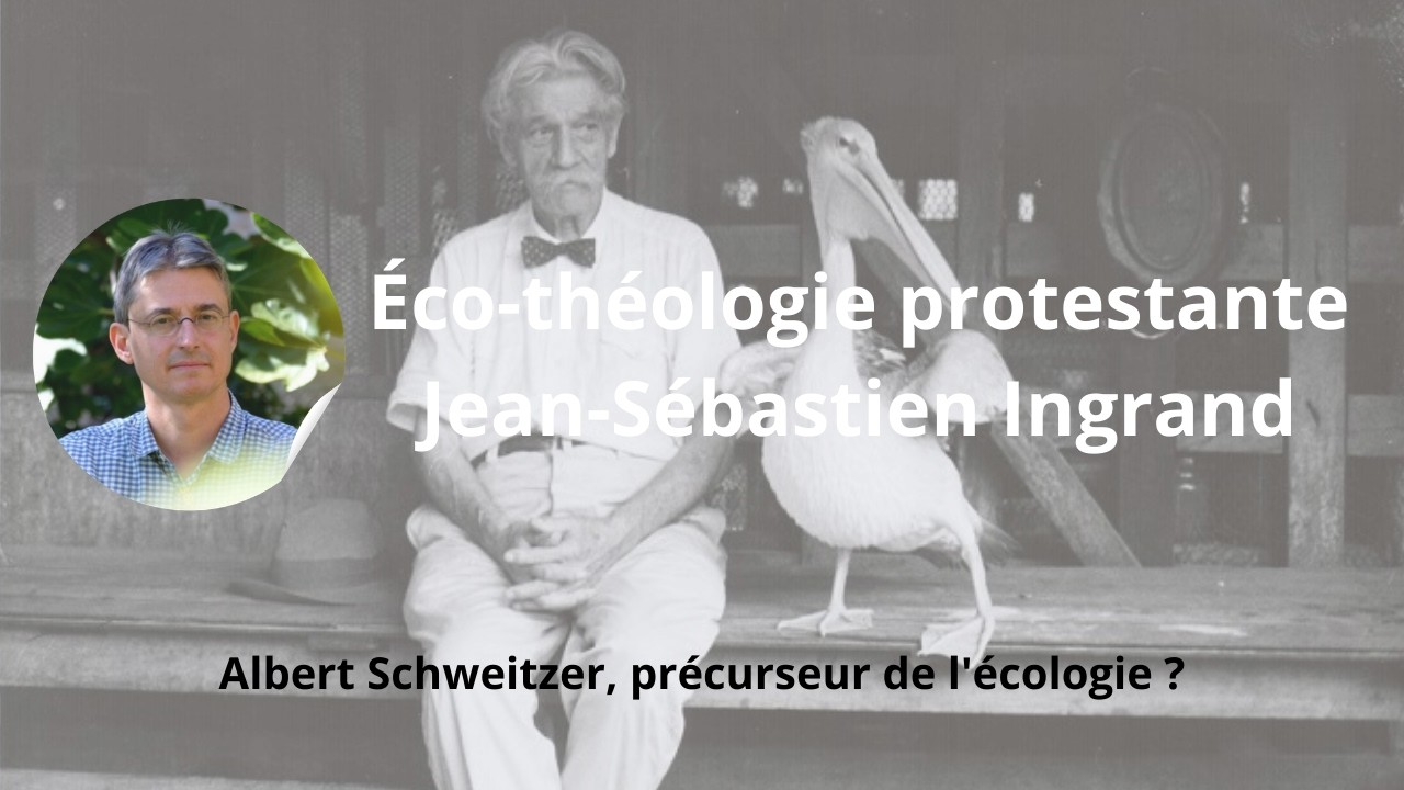 Albert Schweitzer, précurseur de l'écologie ? (Jean-Sébastien Ingrand)