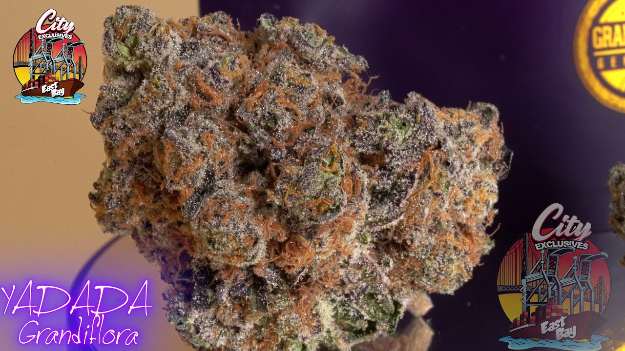 #Yadada by Grandiflora/Paperboy510 (cityexclusives)