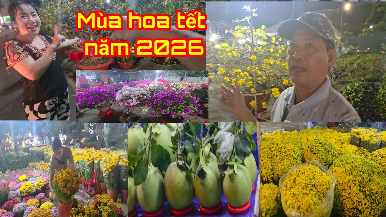 Đặc sắc ngày hội hoa xuân năm 2026  : Văn mãnh Võ 