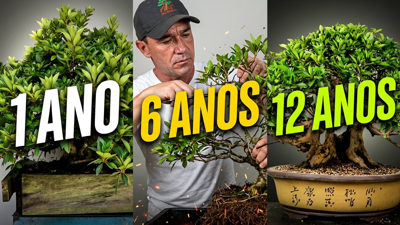 FINALIZANDO BONSAI DE AZALÉA DEPOIS DE 12 ANOS DE TRABALHO