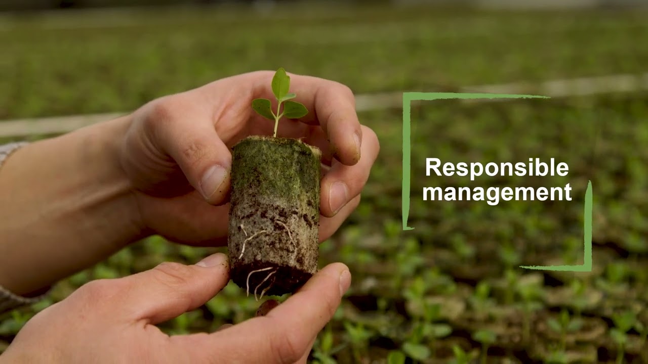 Desert King Brings Manufacturing Excellence and Sustainability Leadership to Magni-Phi® Brands