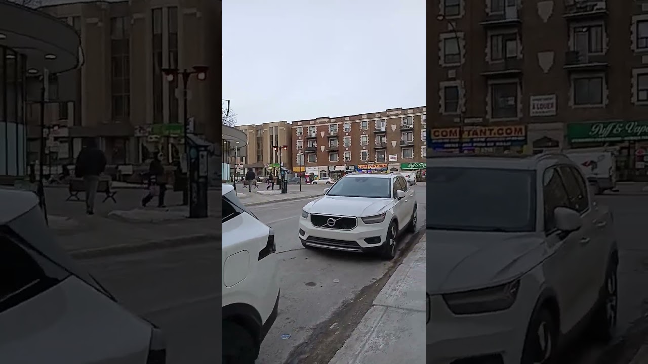 Dragon Army Cadence Rock&Roll=March 5 Imperium DraconZ LegionX Servitium N.A.C.W.P Thelema NWO Event