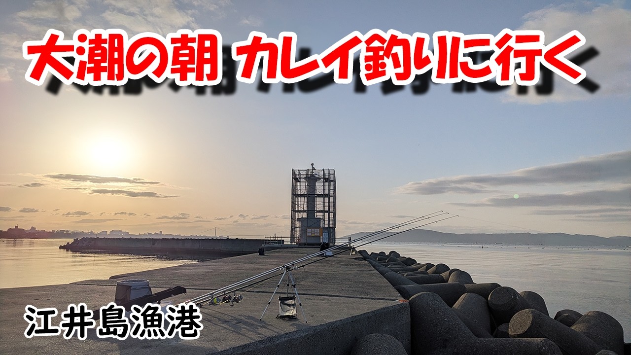 大潮におだっちさんとカレイ釣り ３月５日 江井島漁港