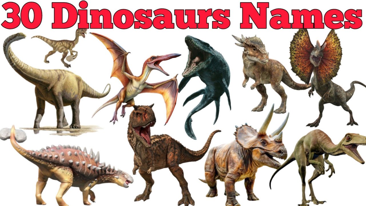 Learn 30 Dinosaur Names In English & Hindi With Fun Facts | Fun Learning For Children