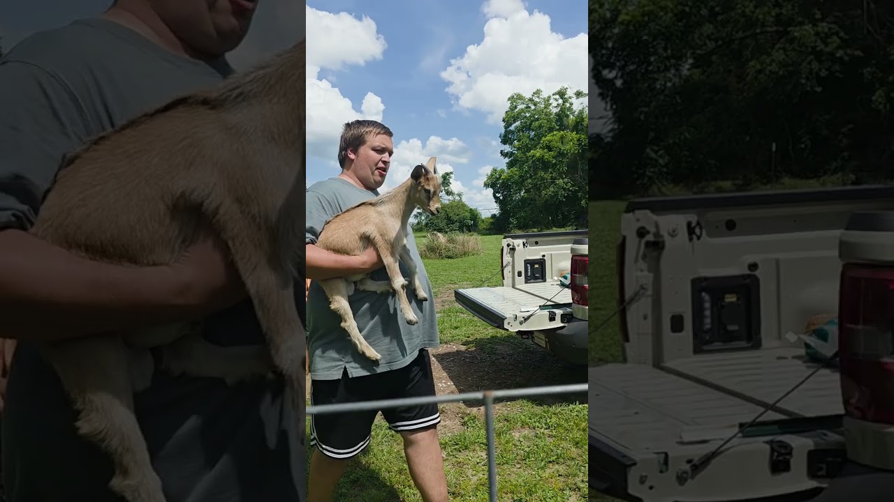 So excited they're here i'm so excited