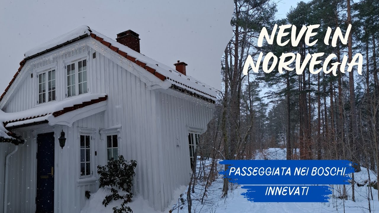 Passeggiata nella neve in Norvegia | Walking Tour Norway Snow