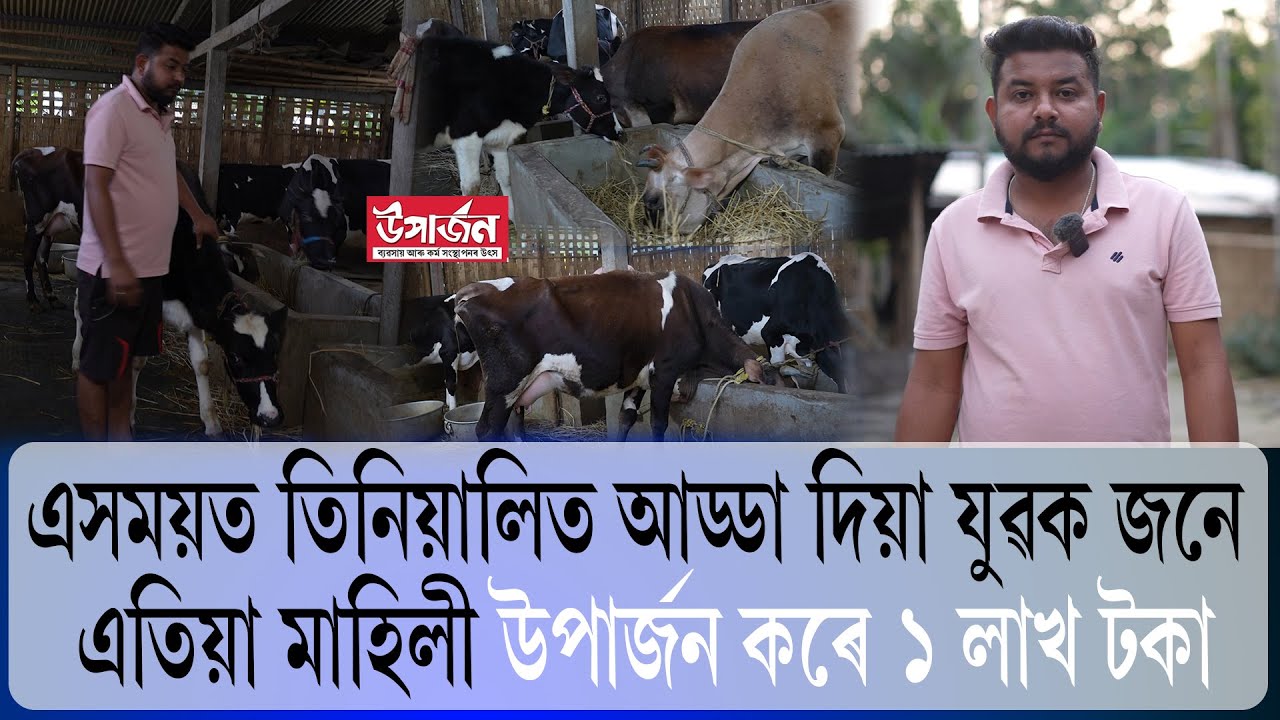 এসময়ত তিনিয়ালিত আড্ডা দিয়া যুৱক জনে এতিয়া মাহিলী উপাৰ্জন কৰে ১ লাখ টকা || UPARJAN ||