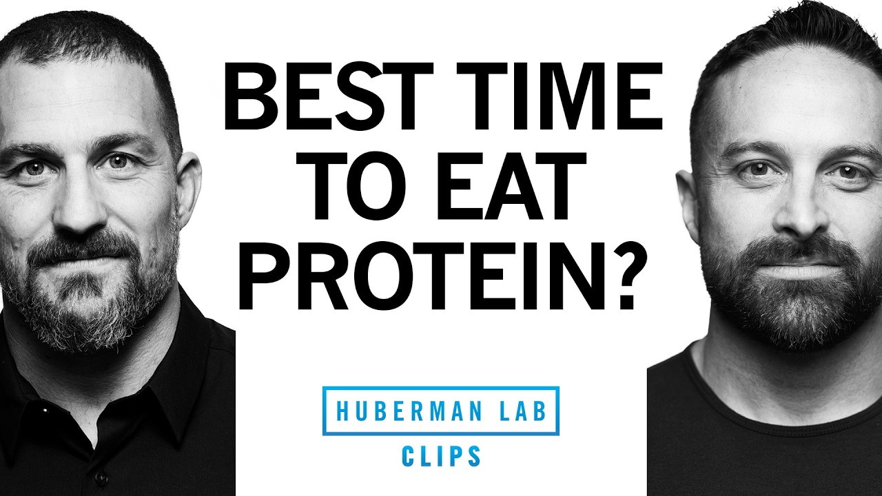 When to Eat Protein for Better Muscle Growth | Dr. Layne Norton & Dr. Andrew Huberman