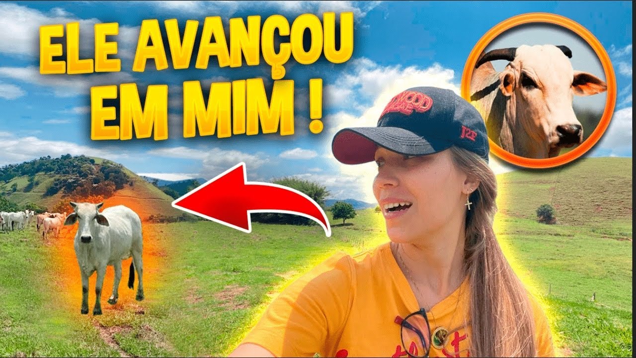 BOI BRAVO! Quase me DERRUBOU do CAVALO! (ELE AVANÇOU EM MIM)