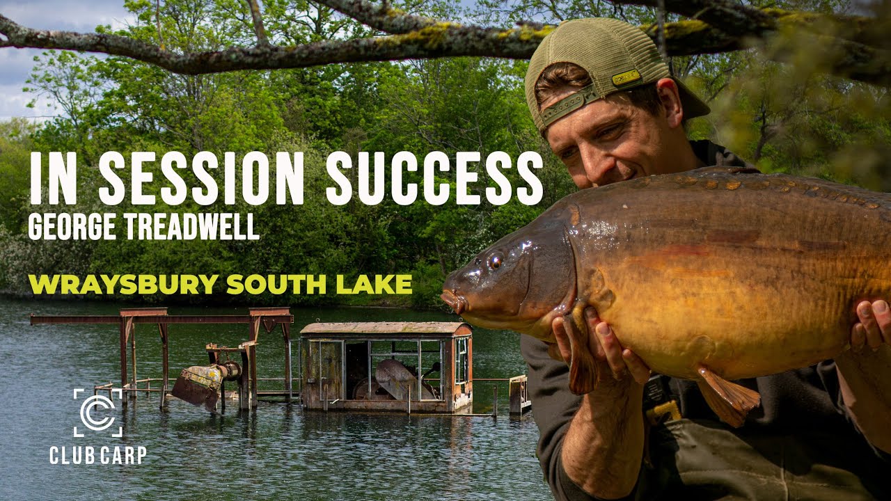 In session carp fishing with George Treadwell at Wraysbury South lake 🎣