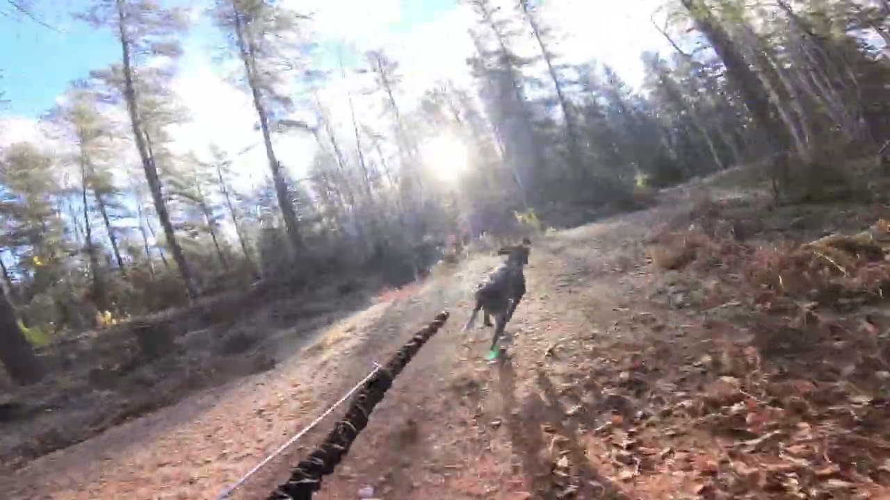 Onaping Falls 1 Dog Bike Time Trial - Bobber