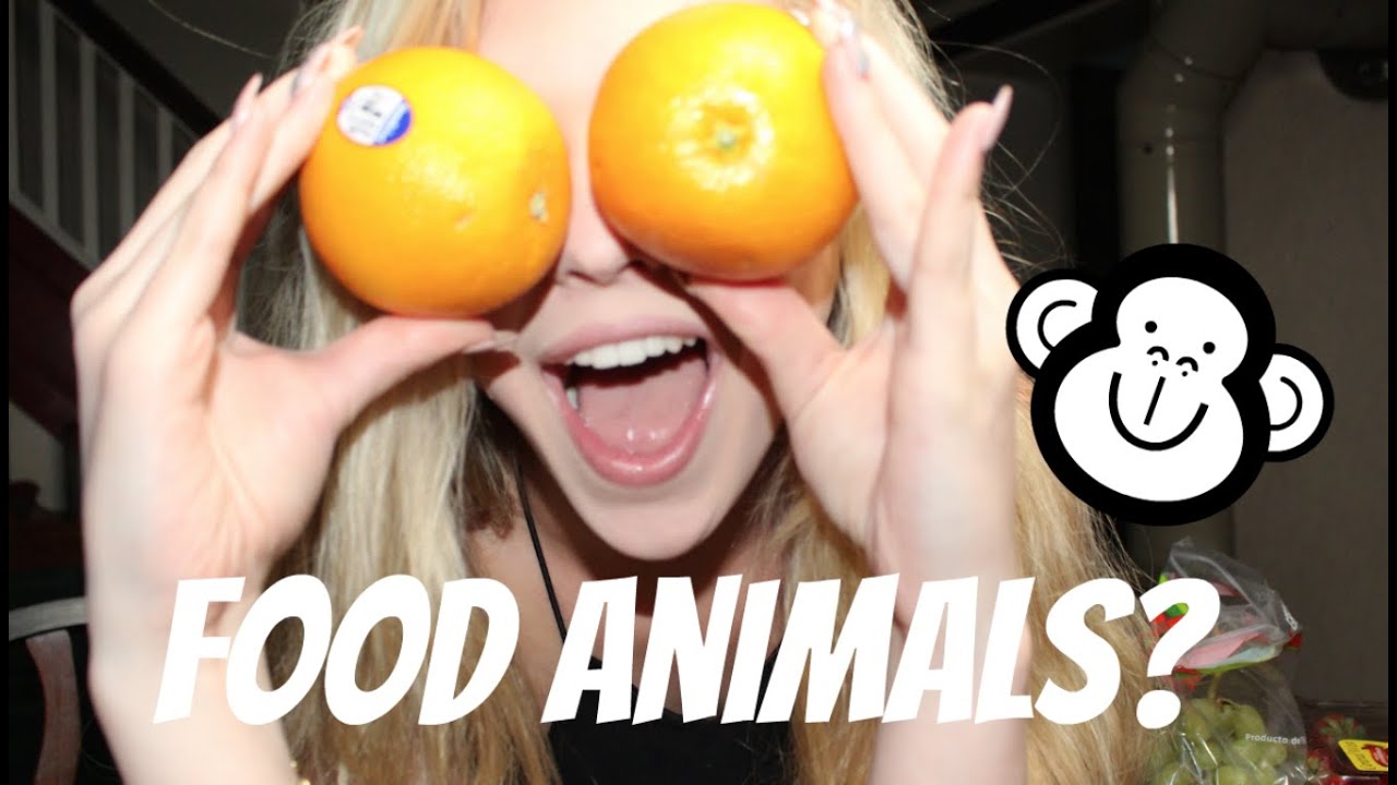 FOOD ANIMALS | Loren Gray