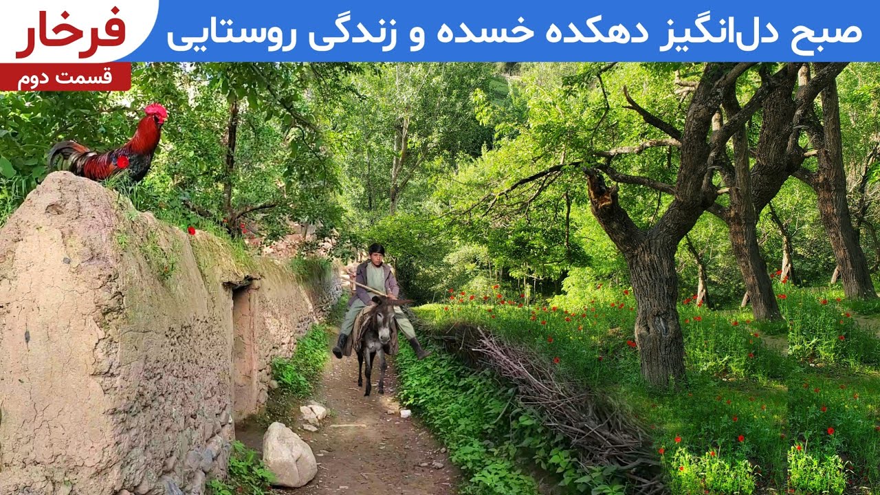 صبح رویایی دهکده خسده - فرخار افغانستان نه فرخار 🇹🇯 تاجیکستان || طبیعت قشنگ ، صدای پرنده های نایاب