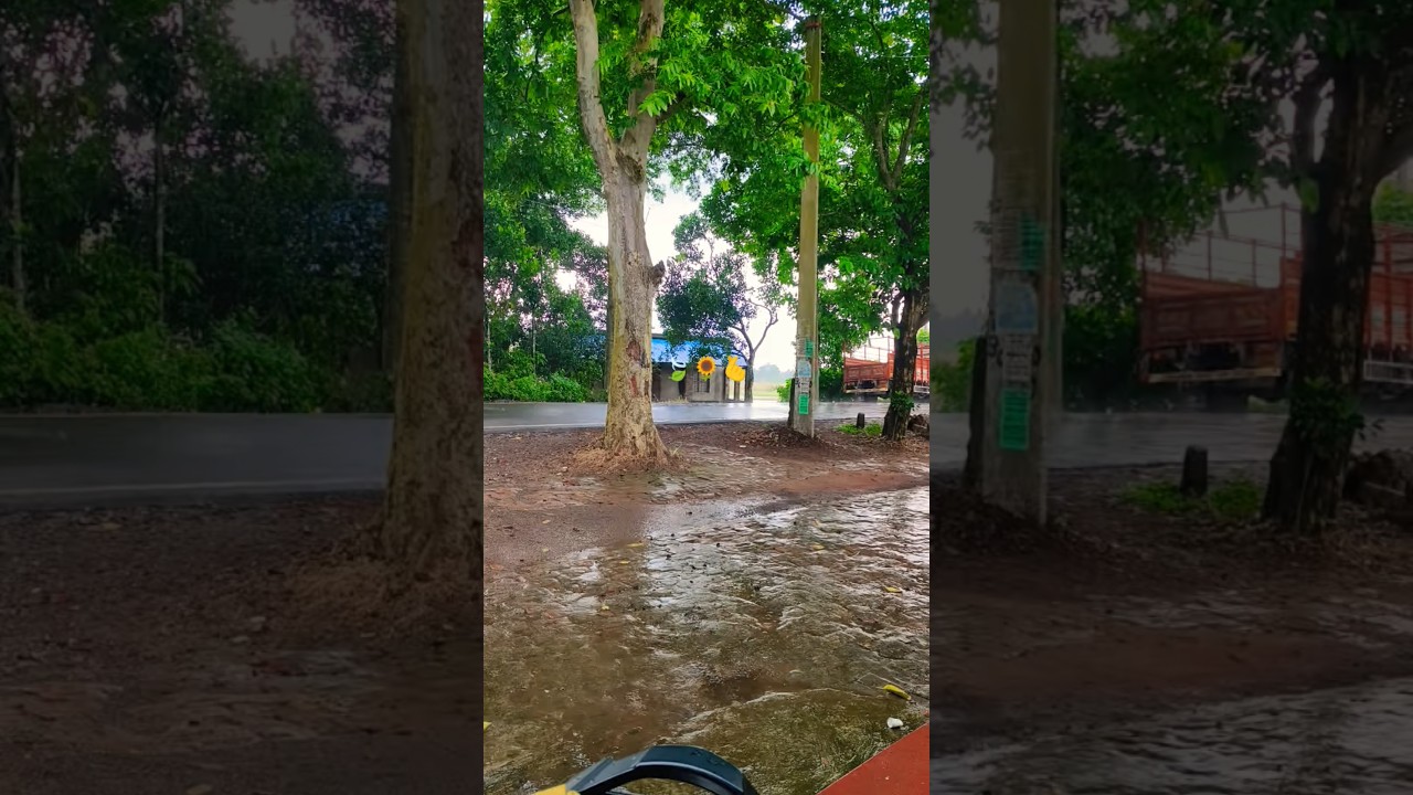 Rainfall ☔💧🫧 #rainfall #rainyday #raindance #weather