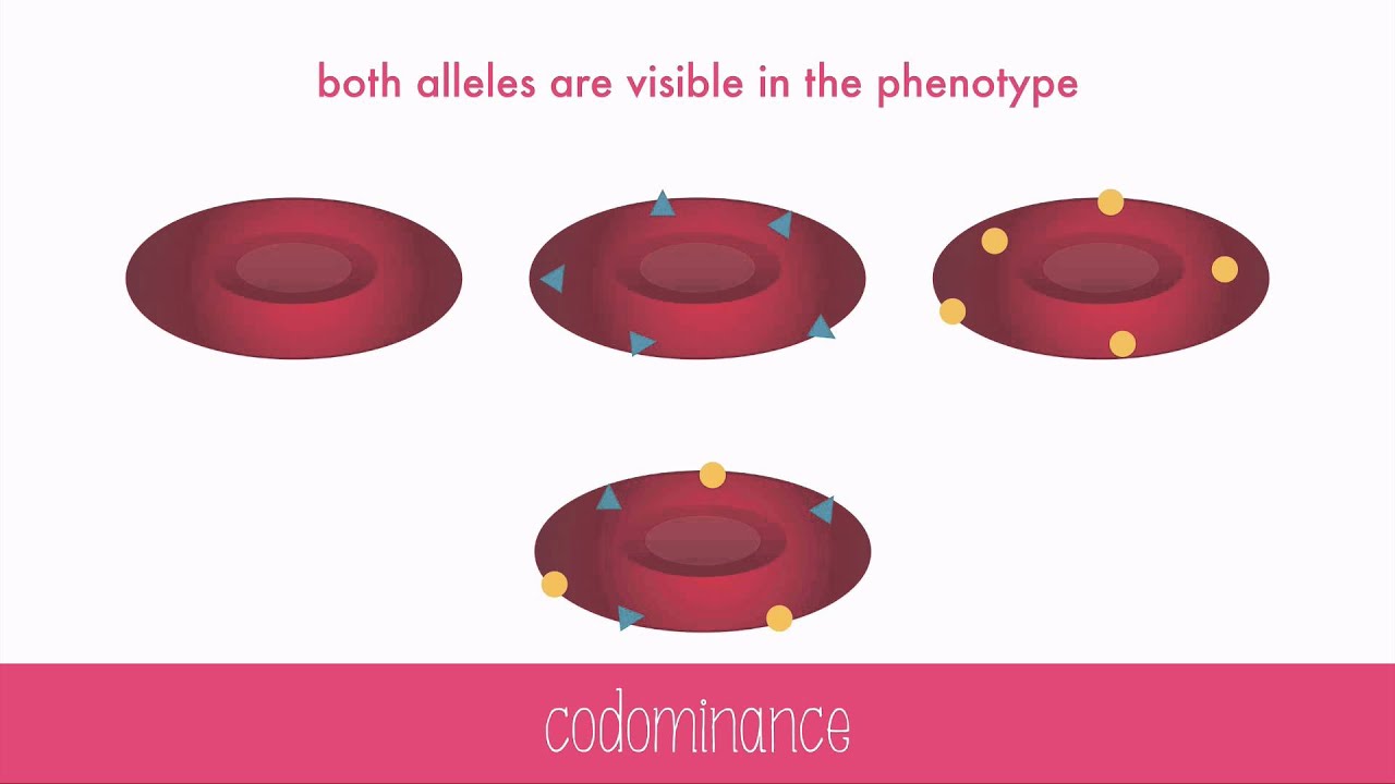 Non-Mendelian Genetics