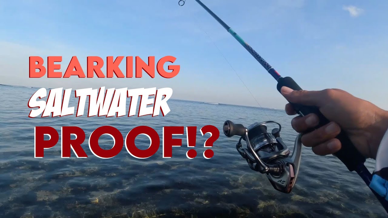 UBOS ANG PAMAIN SA ISDANG ITO | BEARKING REEL TEST