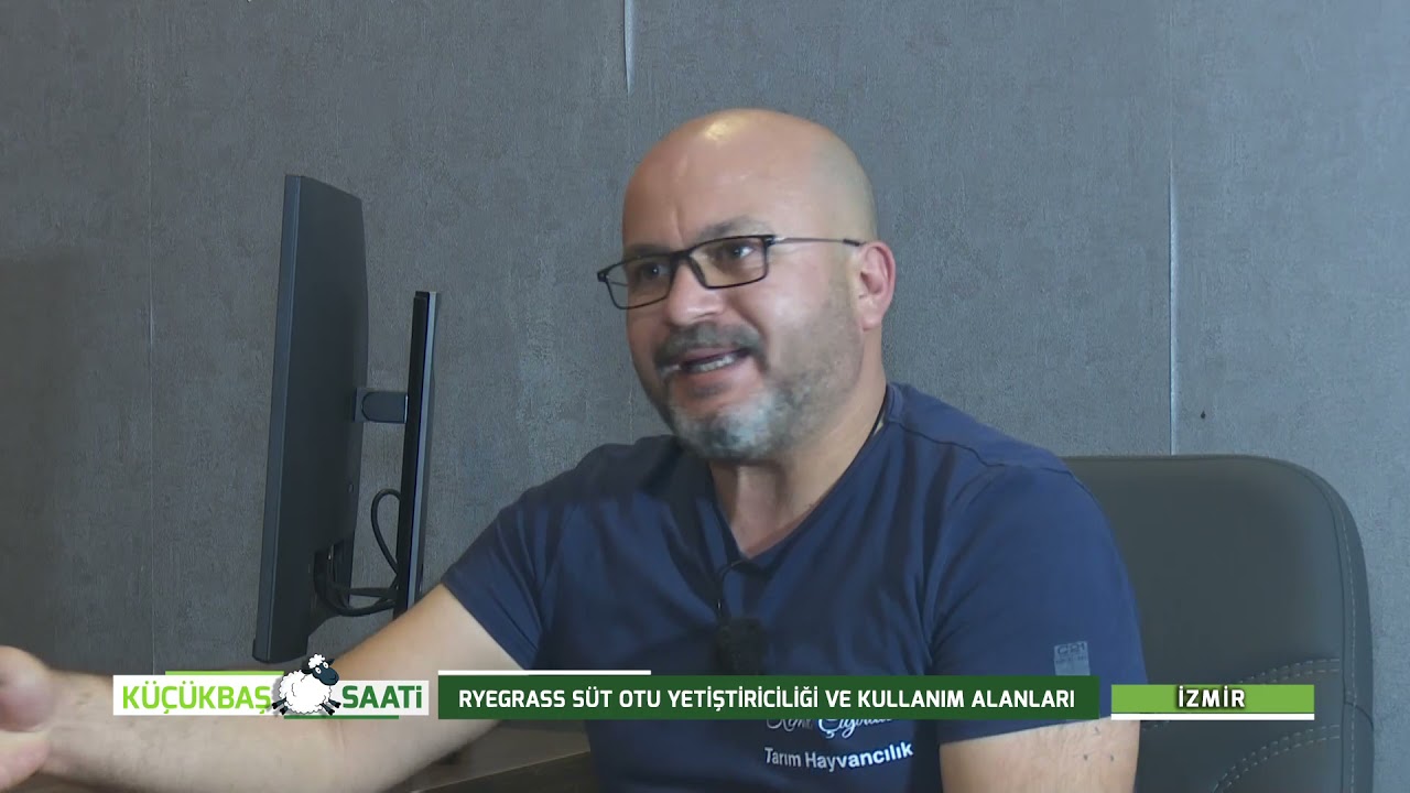 KÜÇÜKBAŞ SAATİ | RYEGRASS SÜT OTU YETİŞTİRİCİLİĞİ VE KULLANIM ALANLARI