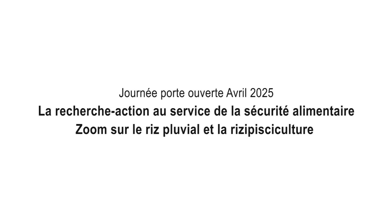 Journée porte ouverte, La recherche-action, Zoom sur le riz pluvial et la rizipisciculture