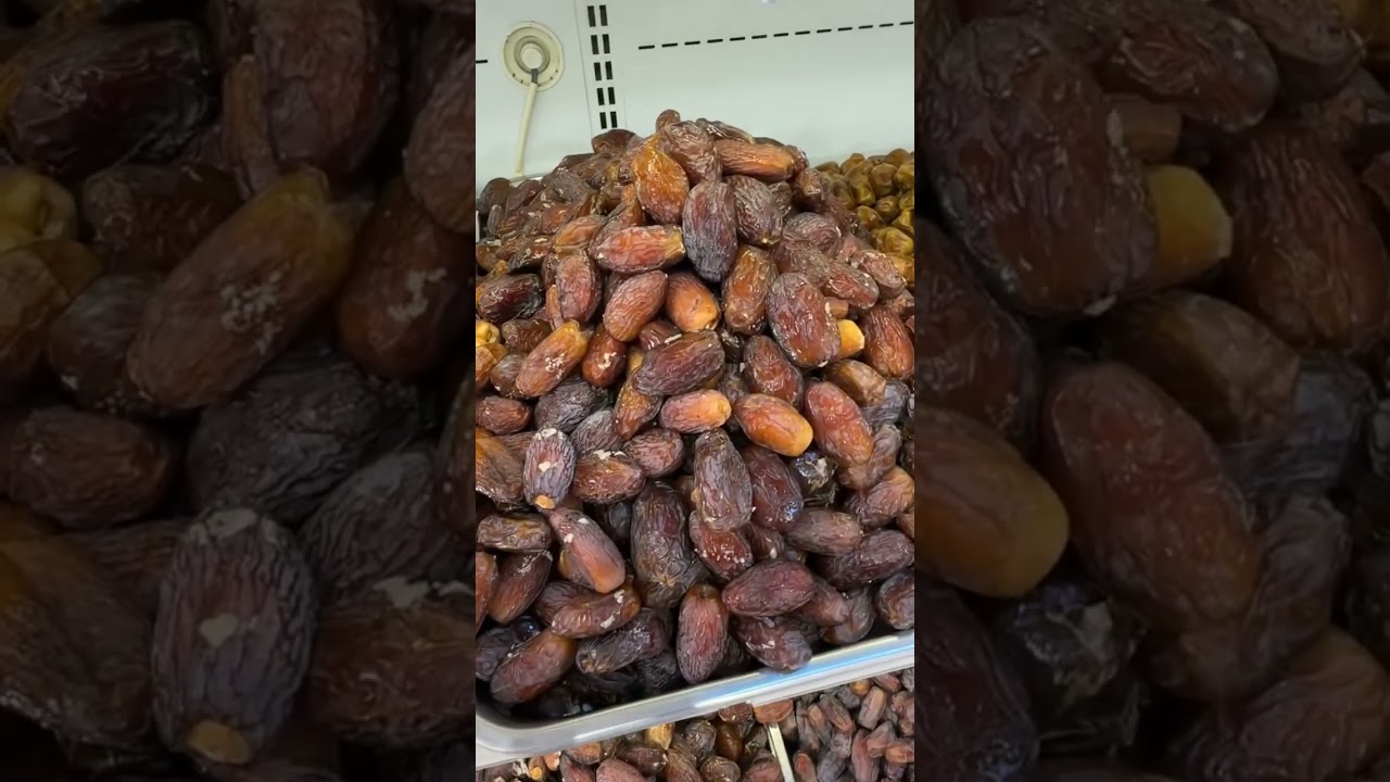روائع ارض القصيم 🌴 اقوى ترند بمناسبة شهر الخير 🌙