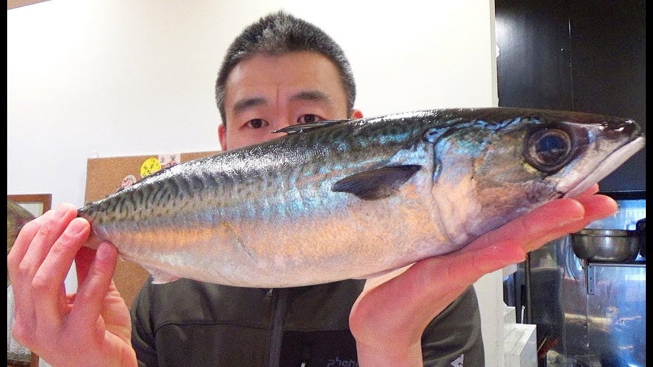 방어의 맛이 나는 대 고등어가 왔다 Fillet and Vinegered Big Mackerel | Mackerel Sashimi