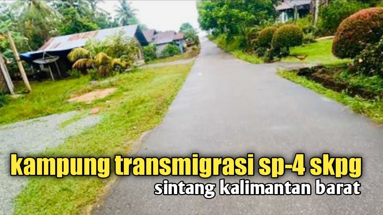 TRANSMIGRASi SP-4 skpg SINTANG
