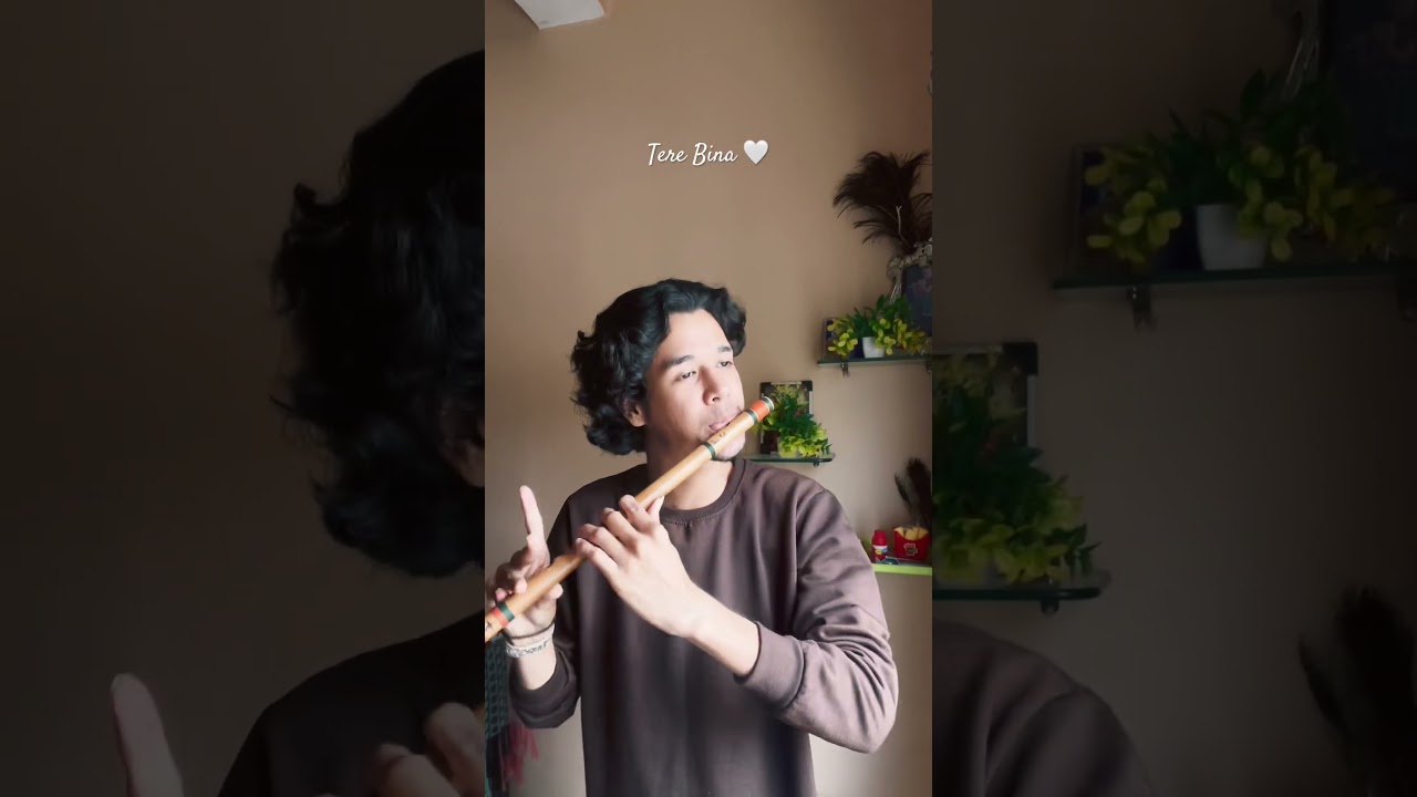 Tere Bina Sargam | Flute Cover #flute #flute #bansuriflute #terebina #sargam #instrumentalmusic