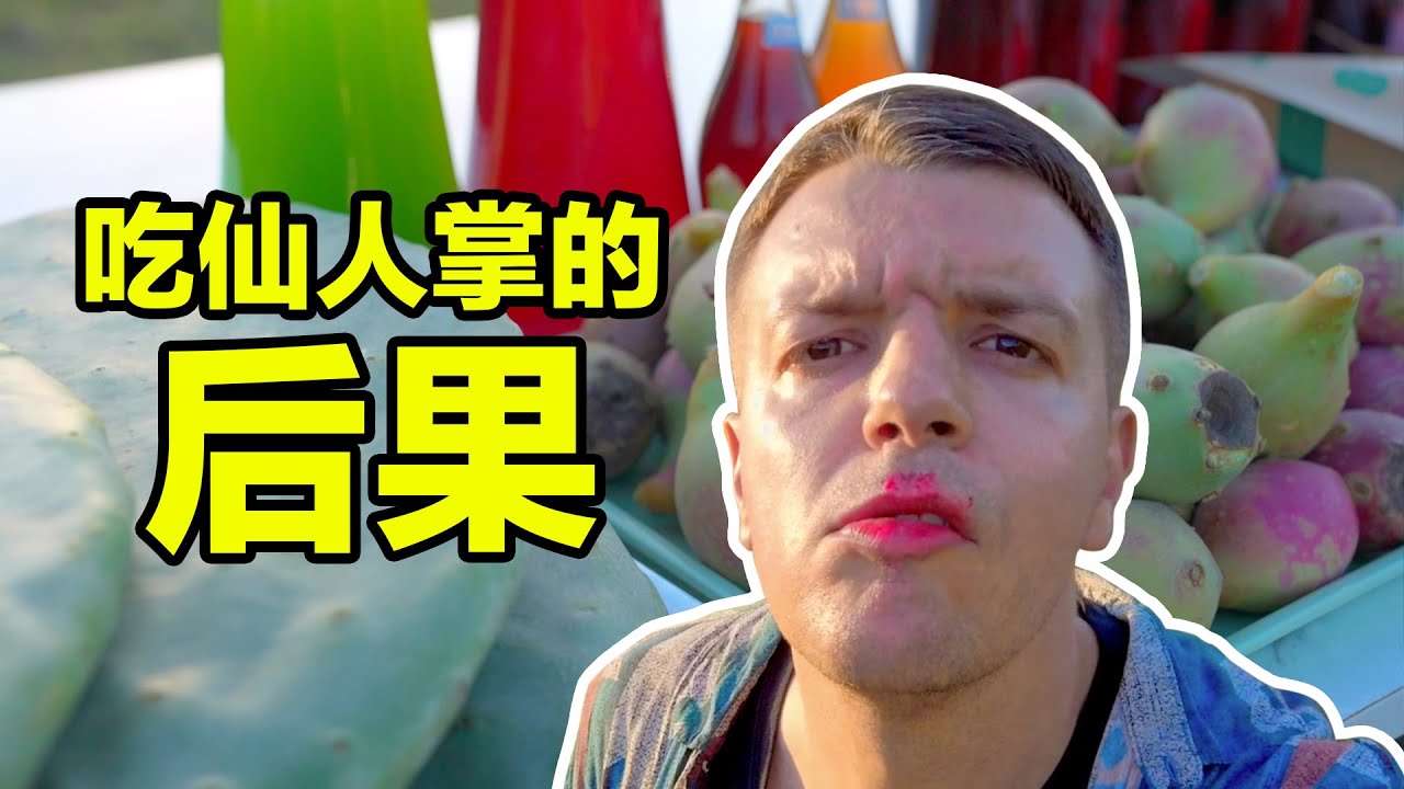 Eating Wild CACTUS - The Next Big Thing in China!