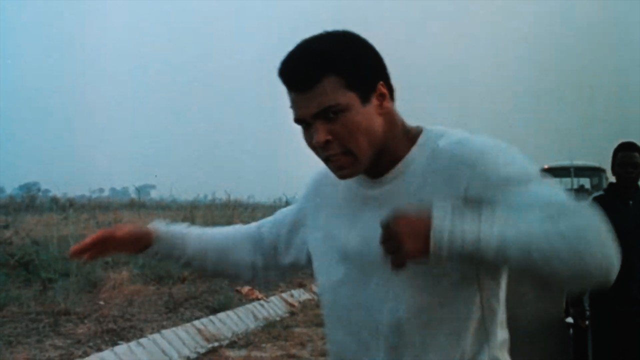 Champion Boxers Shadowboxing For 1 Hour Straight