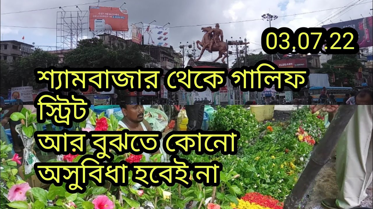Galiff Street Plant Market Kolkata Shyambazar// Kolkata Sunday Plant Market 03.07.22