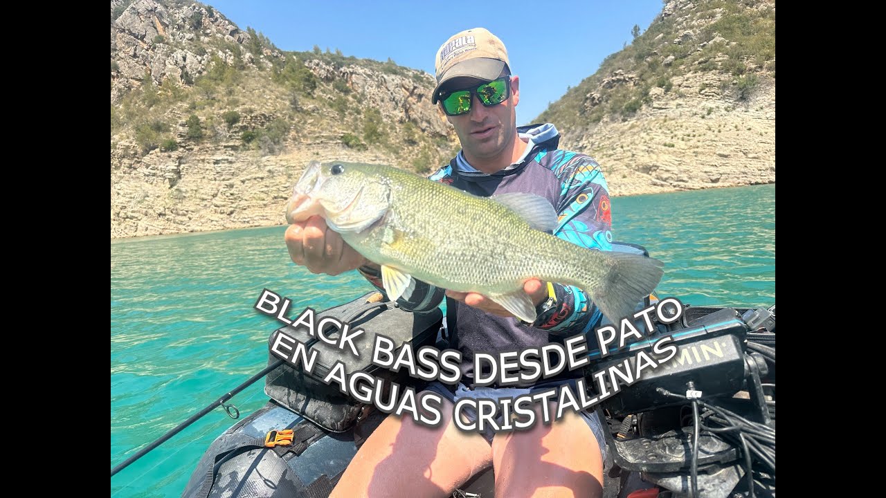 BLACK BASS EN AGUAS CRISTALINAS❗️❗️ ATAQUES EN SUPERFICIE🚨