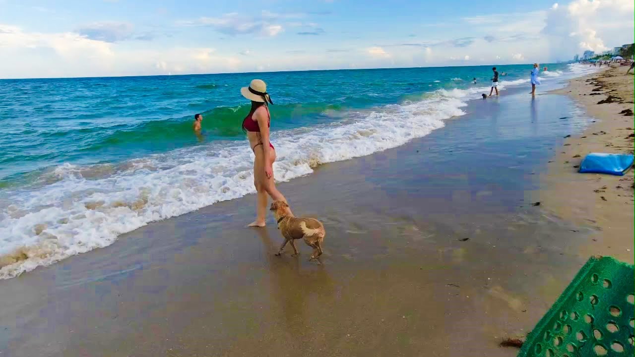 White's TDI SL Pulse Induction detector - 1st Day Out on Lower Beach - Beach Hunt - Metal Detecting