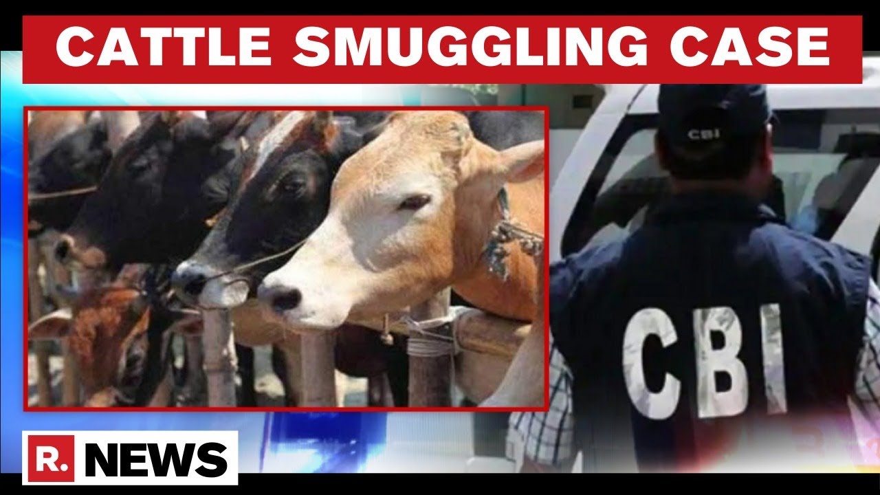 WB Cattle Smuggling Case: CBI Files Charge Sheet, Seven Named As Accused