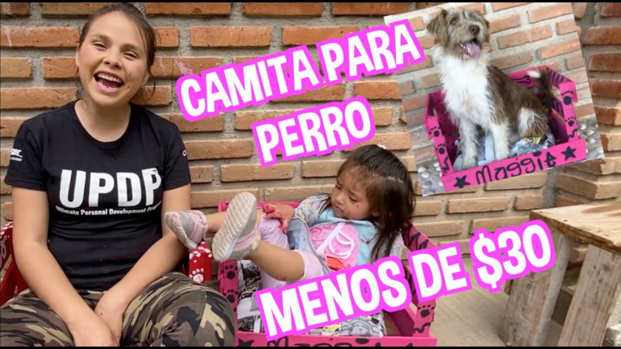 CAMITA PARA PERRO / HAZLO POR MENOS DE $30 / FATIMA Y CAELI / LOS DESTRAMPADOS