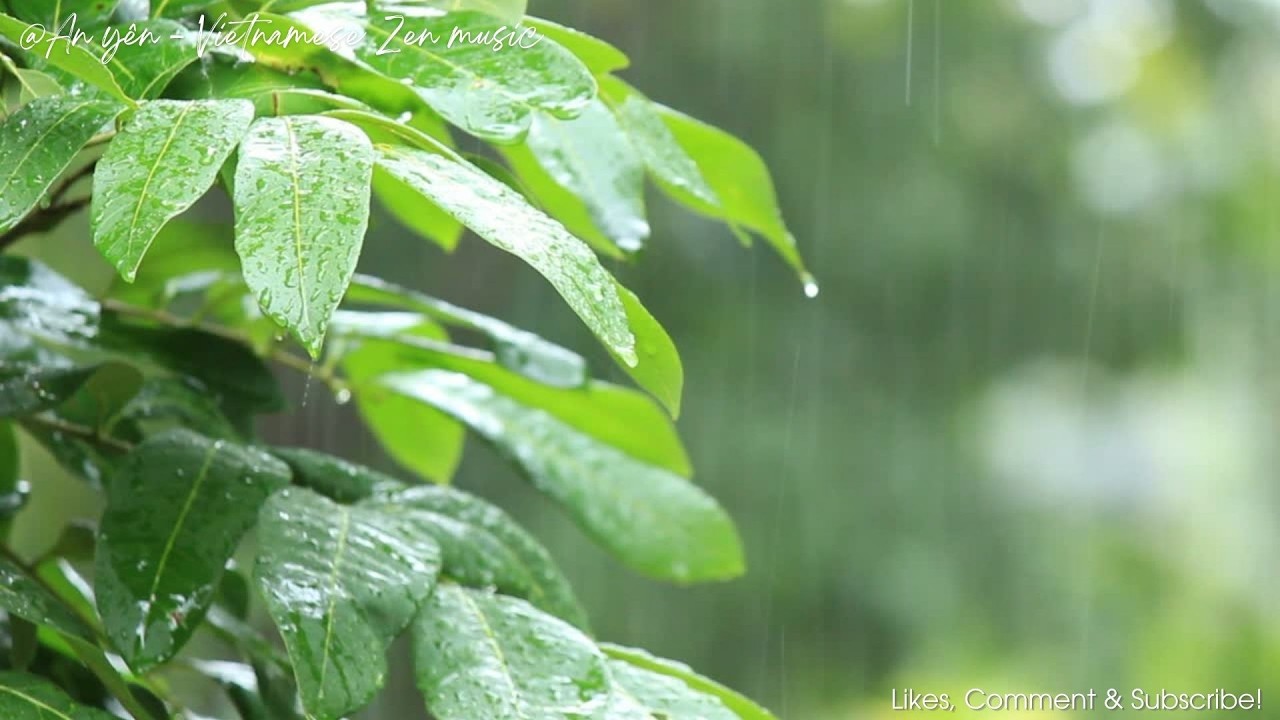 Nhạc chữa lành 432Hz zen lofi cho tâm hồn thư thái, tĩnh lặng, giúp ngủ ngon - Zen Meditation music