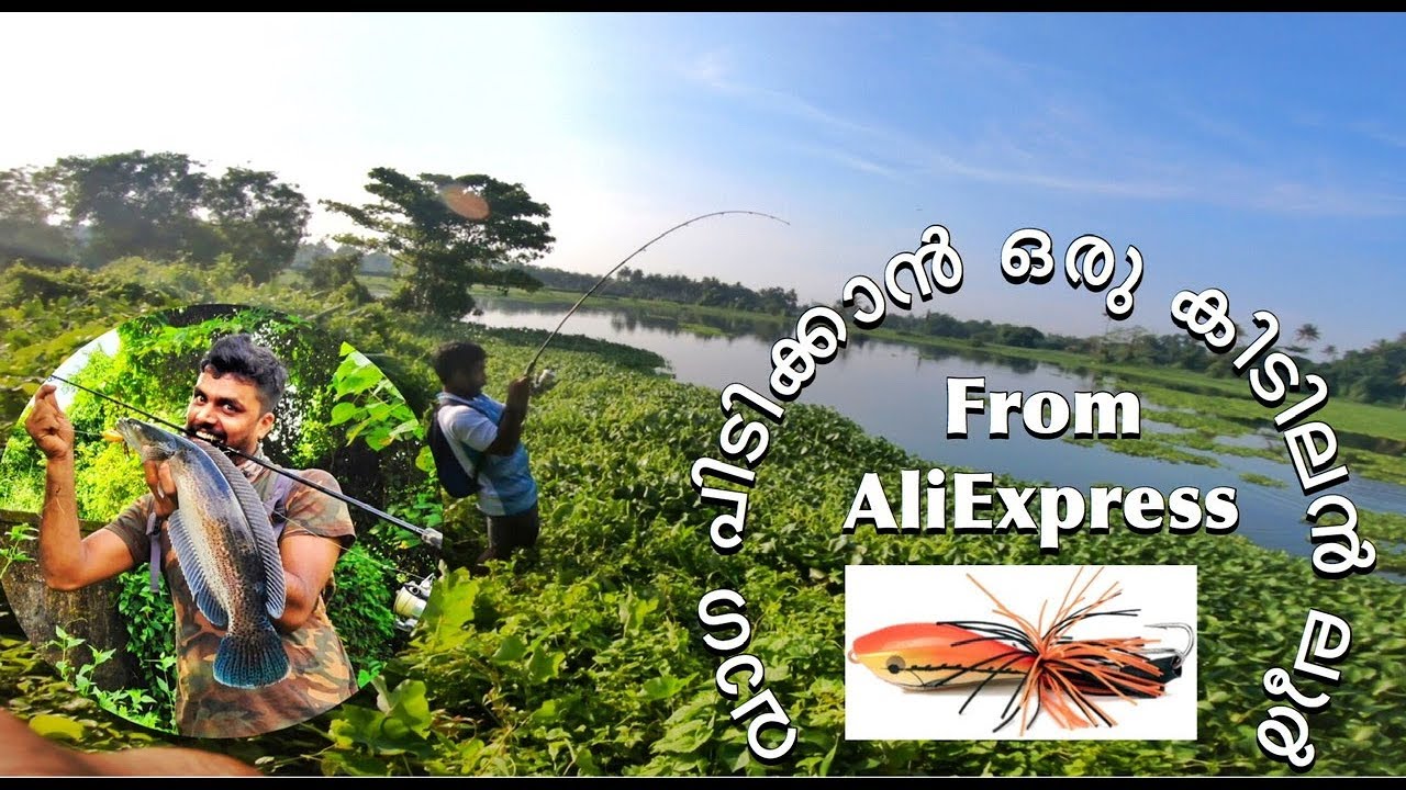 ഒരു കിടിലൻ വാഗ ഫിഷിംഗ്‌ |malabar Snake head (channa diplogramma) Kerala fishing