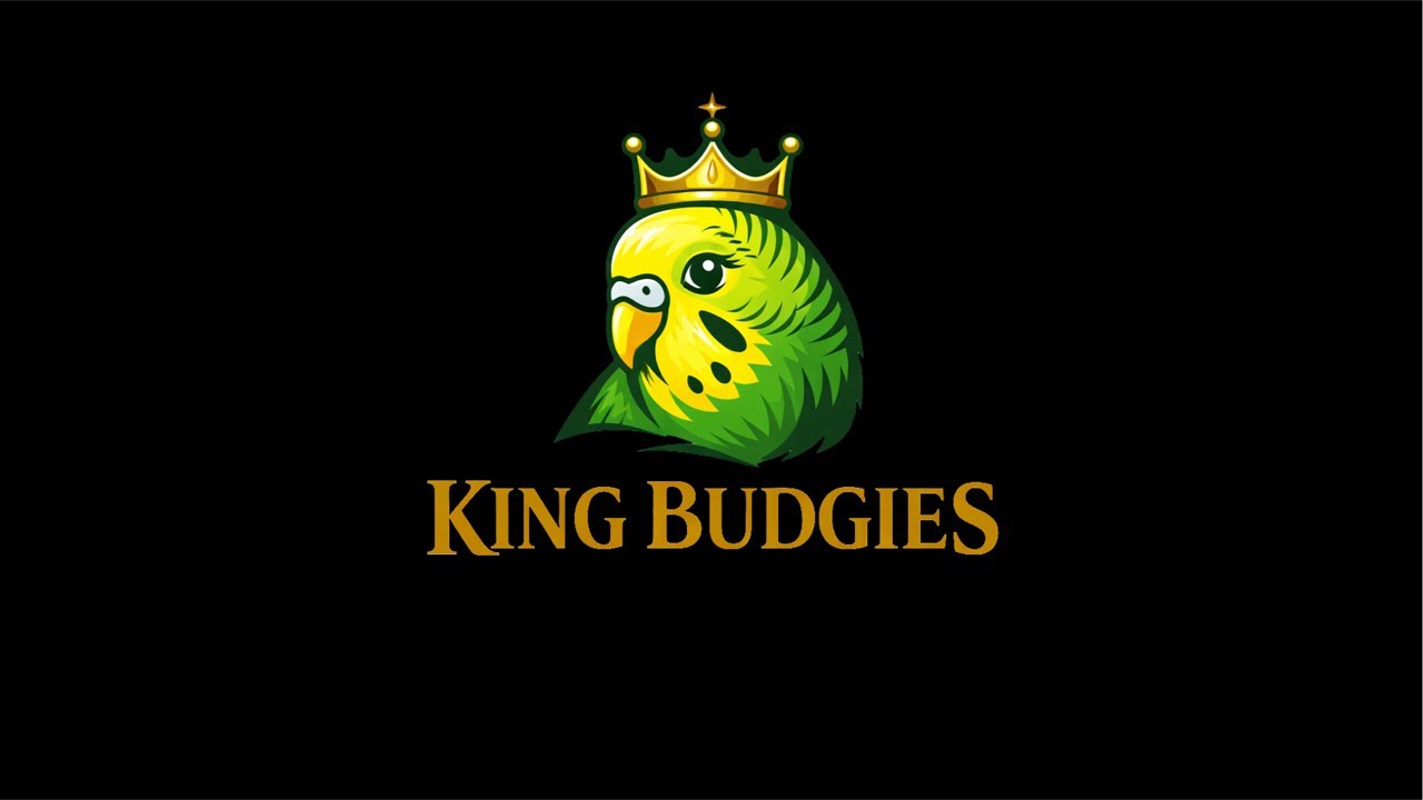 King_Budgies_Priya is live