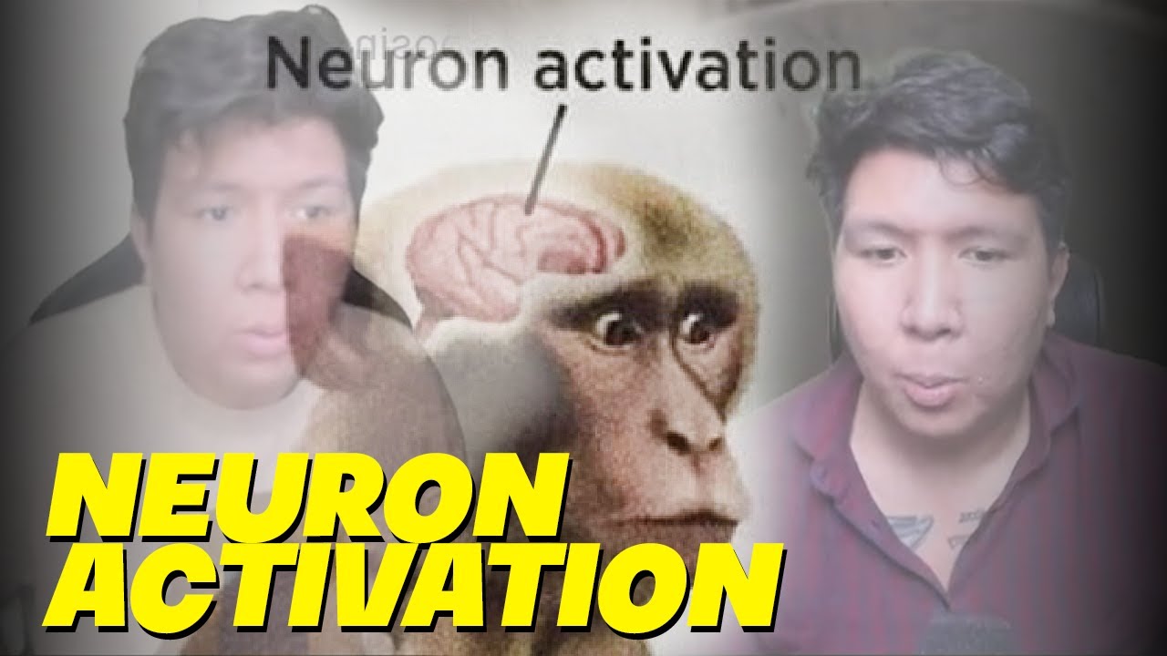 Windah Basudara Tapi Neuron Activation