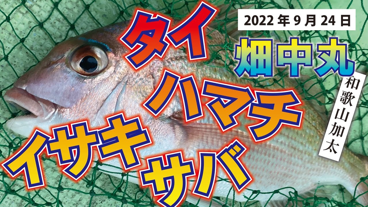 【太いラインは釣れない説】を加太の船釣りで検証しました！