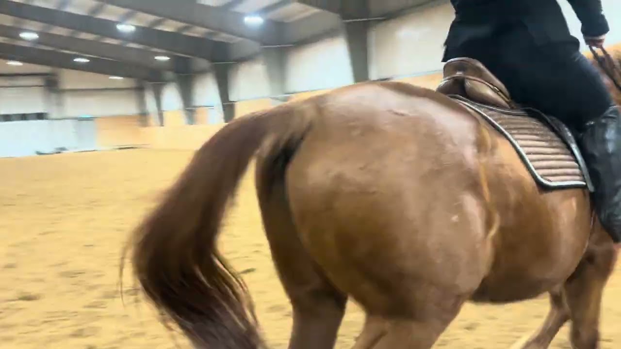 Haley Sheppard first level test A