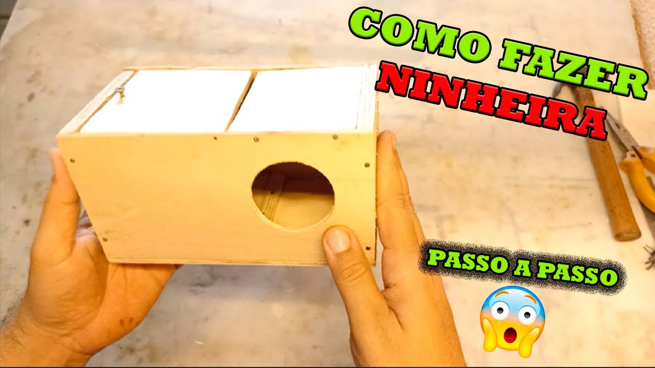 COMO FAZER NINHEIRA DE PERIQUITO PASSO A PASSO