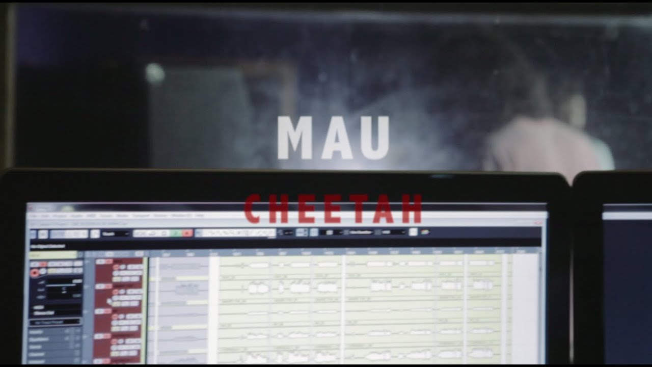 MAU - Cheetah (Live)