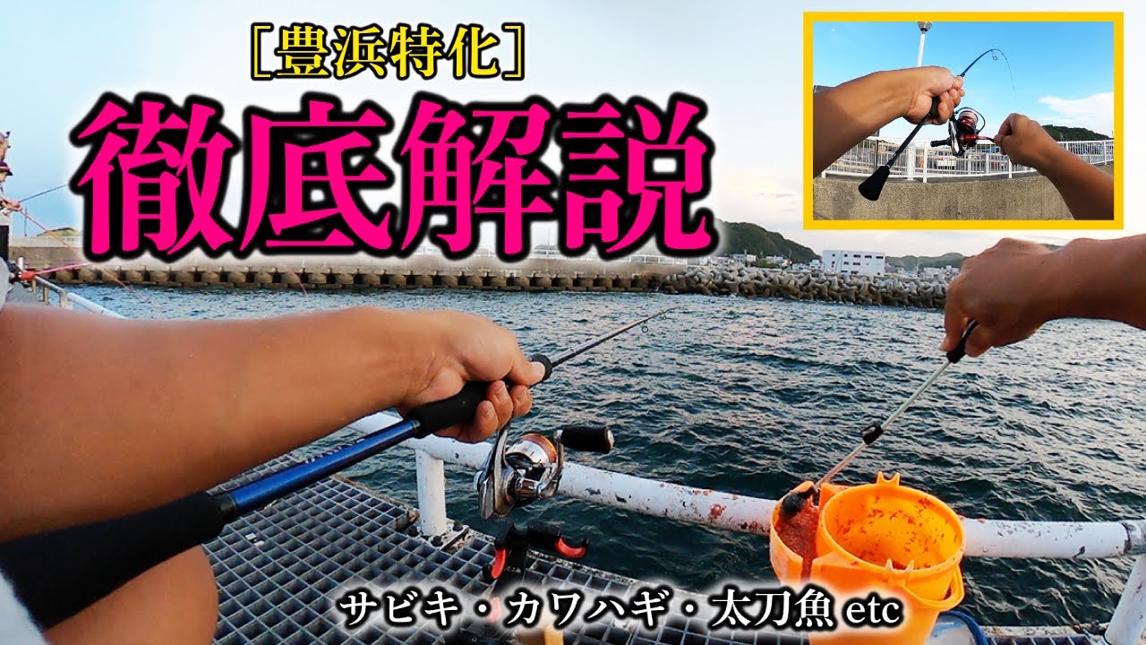 【豊浜特化】最新の豊浜釣り桟橋を徹底解説｜釣果UPのコツ＆失敗しない時間！