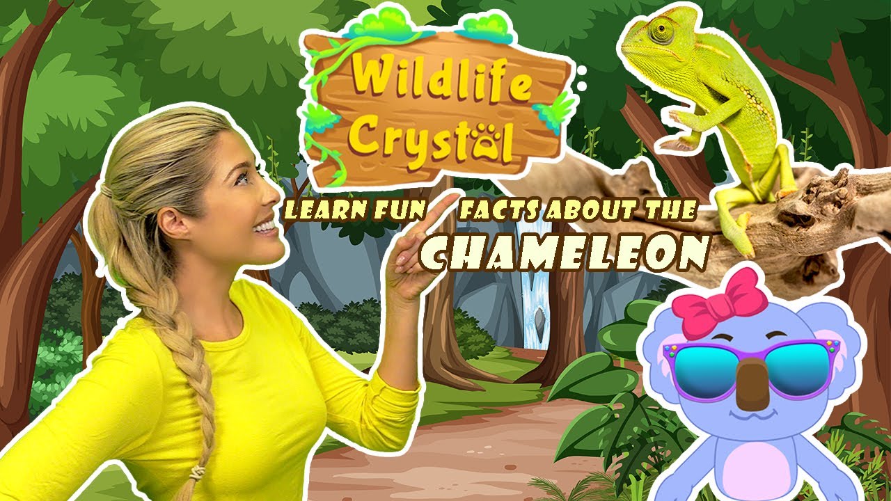 Chameleon Facts