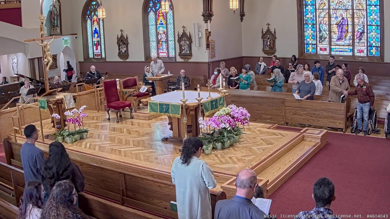 Video 2026-02-01 10:38 AM