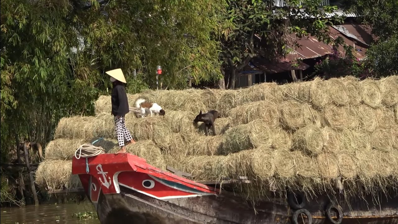 Cảnh chiều cuối năm Người dân qua lại buôn bán trên sông